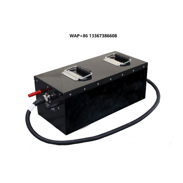 72V 60Ah Lifepo4 Battery Pack - Batteria al Litio 48 Volt, Pacco